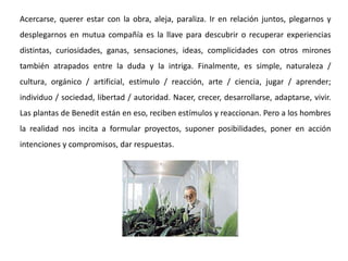 Acercarse, querer estar con la obra, aleja, paraliza. Ir en relación juntos, plegarnos y
desplegarnos en mutua compañía es la llave para descubrir o recuperar experiencias
distintas, curiosidades, ganas, sensaciones, ideas, complicidades con otros mirones
también atrapados entre la duda y la intriga. Finalmente, es simple, naturaleza /
cultura, orgánico / artificial, estímulo / reacción, arte / ciencia, jugar / aprender;
individuo / sociedad, libertad / autoridad. Nacer, crecer, desarrollarse, adaptarse, vivir.
Las plantas de Benedit están en eso, reciben estímulos y reaccionan. Pero a los hombres
la realidad nos incita a formular proyectos, suponer posibilidades, poner en acción
intenciones y compromisos, dar respuestas.
 