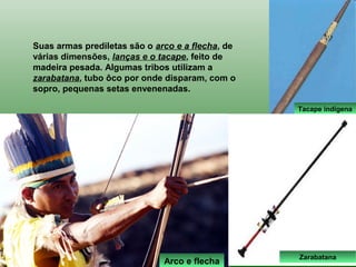 Tacape indígena
Suas armas prediletas são o arco e a flecha, de
várias dimensões, lanças e o tacape, feito de
madeira pesada. Algumas tribos utilizam a
zarabatana, tubo ôco por onde disparam, com o
sopro, pequenas setas envenenadas.
Arco e flecha
Zarabatana
 