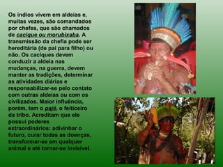 Os índios vivem em aldeias e,
muitas vezes, são comandados
por chefes, que são chamados
de cacique ou morubixaba. A
transmissão da chefia pode ser
hereditária (de pai para filho) ou
não. Os caciques devem
conduzir a aldeia nas
mudanças, na guerra, devem
manter as tradições, determinar
as atividades diárias e
responsabilizar-se pelo contato
com outras aldeias ou com os
civilizados. Maior influência,
porém, tem o pajé, o feiticeiro
da tribo. Acreditam que ele
possui poderes
extraordinários: adivinhar o
futuro, curar todas as doenças,
transformar-se em qualquer
animal e até tornar-se invisível.
 