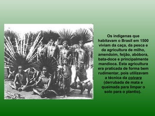 Os indígenas que
habitavam o Brasil em 1500
viviam da caça, da pesca e
da agricultura de milho,
amendoim, feijão, abóbora,
bata-doce e principalmente
mandioca. Esta agricultura
era praticada de forma bem
rudimentar, pois utilizavam
a técnica da coivara
(derrubada de mata e
queimada para limpar o
solo para o plantio).
 
