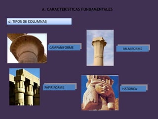 A. CARACTERÍSTICAS FUNDAMENTALES


d. TIPOS DE COLUMNAS




                       CAMPANIFORME                 PALMIFORME




                  PAPIRIFORME                       HATORICA
 