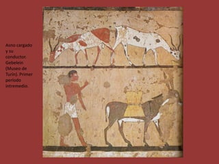 Asno cargado
y su
conductor.
Gebelein
(Museo de
Turín). Primer
período
intremedio.
 