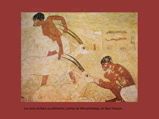 Los orix reciben su alimento, tumba de Khnumhotep, en Beni Hasam.
 