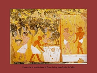 Escena de la vendimia en la finca de Ipy. Necrópolis de Tebas
 