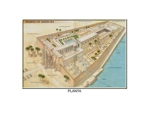 PLANTA
 
