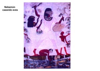 Nebamún
cazando aves
 
