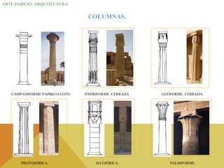 ARTE EGIPCIO. ARQUITECTURA.
COLUMNAS.
CAMPANIFORME PAPIRO O LOTO. PAPIRIFORME. CERRADA. LOTIFORME. CERRADA.
PROTODÓRICA. HATHÓRICA. PALMIFORME.
 