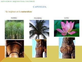 ARTE EGIPCIO. ARQUITECTURA. COLUMNAS.
CAPITELES.
Se inspiran en la naturaleza:
PAPIRO. LOTO.PALMERA.
 