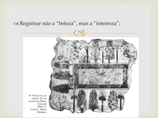  Registrar não a “beleza”, mas a “inteireza”;

                         
 