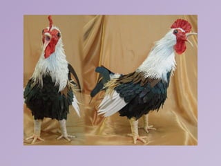 Arte em papel, by Calvin Nicholls