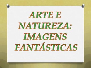 ARTE E  NATUREZA:  IMAGENS  FANTÁSTICAS 