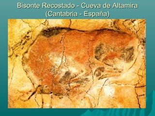 Bisonte Recostado - Cueva de AltamiraBisonte Recostado - Cueva de Altamira
(Cantabria - España)(Cantabria - España)
 