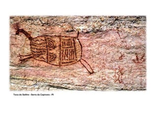 Toca do Salitre - Serra da Capivara - PI
 