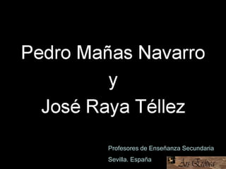 Profesores de Enseñanza Secundaria
Sevilla. España
 