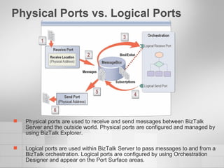 Physical Ports vs. Logical Ports Physical ports are used to receive and send messages between BizTalk Server and the outside world. Physical ports are configured and managed by using BizTalk Explorer.  Logical ports are used within BizTalk Server to pass messages to and from a BizTalk orchestration. Logical ports are configured by using Orchestration Designer and appear on the Port Surface areas. 