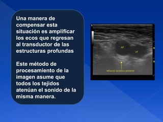 Una manera de
compensar esta
situación es amplificar
los ecos que regresan
al transductor de las
estructuras profundas
Este método de
procesamiento de la
imagen asume que
todos los tejidos
atenúan el sonido de la
misma manera.
 