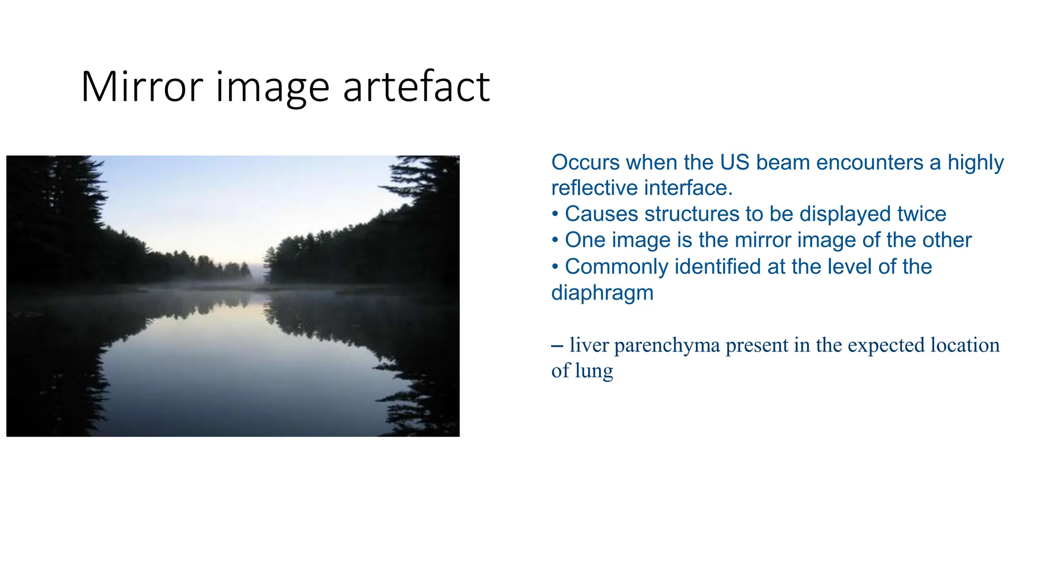 Artefacts In Ultrasound Imaging Physics Pptx