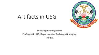 Artifacts in USG
Dr Wangju Sumnyan MD
Professor & HOD, Department of Radiology & Imaging
TRIHMS
 