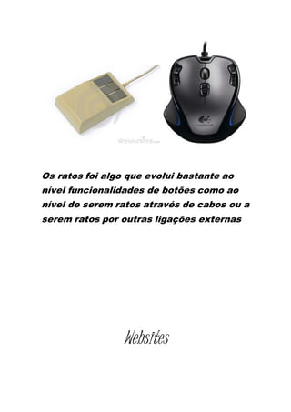 Os ratos foi algo que evolui bastante ao
nível funcionalidades de botões como ao
nível de serem ratos através de cabos ou a
serem ratos por outras ligações externas
Websites
 