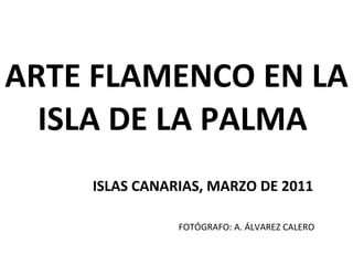 ARTE FLAMENCO EN LA ISLA DE LA PALMA  ISLAS CANARIAS, MARZO DE 2011 FOTÓGRAFO: A. ÁLVAREZ CALERO 