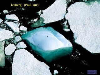 Iceberg  (Polo  sur) 