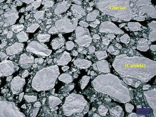 (Canadá) Glaciar 