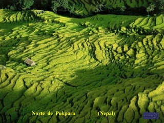 Norte  de  Pokpara  (Nepal) 