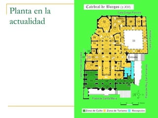 Planta en la actualidad Gótico 