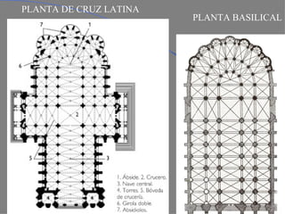 PLANTA DE CRUZ LATINA PLANTA BASILICAL 