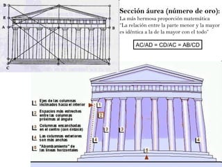 Sección áurea (número de oro): La más hermosa proporción matemática “ La relación entre la parte menor y la mayor es idéntica a la de la mayor con el todo” AC/AD = CD/AC = AB/CD 