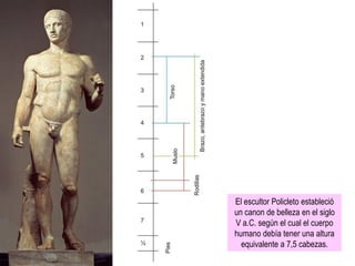 El escultor Policleto estableció
un canon de belleza en el siglo
V a.C. según el cual el cuerpo
humano debía tener una altura
equivalente a 7,5 cabezas.
 