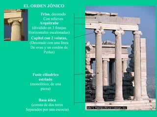 EL ORDEN JÓNICO Basa ática (consta de dos toros Separados por una escocia)‏ Fuste cilíndrico estriado (monolítico, de una pieza)‏ Capitel con 2 volutas, (Decorado con una línea De ovas y un cordón de Perlas)‏ Arquitrabe (dividido en 3 franjas Horizontales escalonadas)‏ Friso , decorado Con relieves 