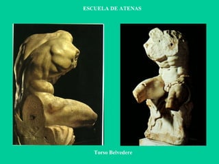 ESCUELA DE ATENAS Torso Belvedere 