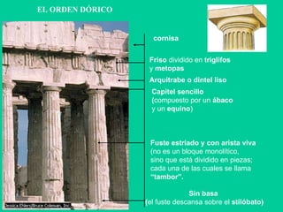 EL ORDEN DÓRICO Friso  dividido en  triglifos y  metopas Arquitrabe o dintel liso Fuste estriado y con arista viva (no es un bloque monolítico, sino que está dividido en piezas; cada una de las cuales se llama “ tambor”. Sin basa  ( el fuste descansa sobre el  stilóbato)‏ Capitel sencillo ( compuesto por un  ábaco y un  equino )‏ cornisa 