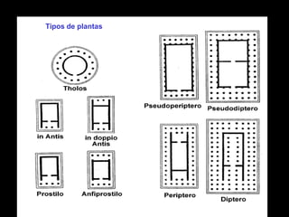 Tipos de plantas
 