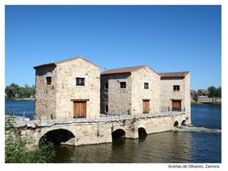 Aceñas de Olivares, Zamora
 
