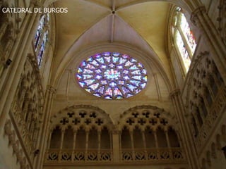 CATEDRAL DE BURGOS
 