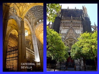 CATEDRAL DE
SEVILLA
 