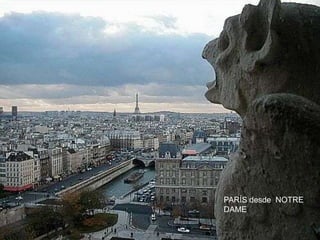 PARÍS desde NOTRE
DAME
 