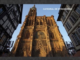 CATEDRAL DE STRASBURGO   