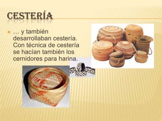 CESTERÍA
   … y también
    desarrollaban cestería.
    Con técnica de cestería
    se hacían también los
    cernidores para harina.
 