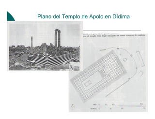 Plano del Templo de Apolo en Dídima