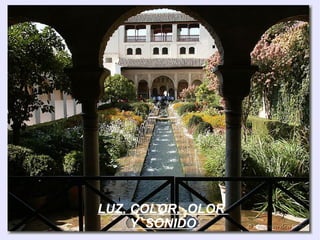 LUZ, COLOR, OLOR
     Y SONIDO
 