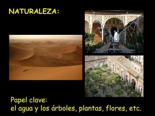 NATURALEZA:

Papel clave:
el agua y los árboles, plantas, flores, etc.

 