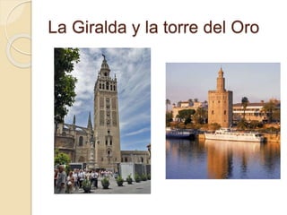 La Giralda y la torre del Oro 
 