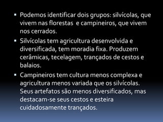  Podemos identificar dois grupos: silvícolas, que
vivem nas florestas e campineiros, que vivem
nos cerrados.
 Silvícolas tem agricultura desenvolvida e
diversificada, tem moradia fixa. Produzem
cerâmicas, tecelagem, trançados de cestos e
balaios.
 Campineiros tem cultura menos complexa e
agricultura menos variada que os silvícolas.
Seus artefatos são menos diversificados, mas
destacam-se seus cestos e esteira
cuidadosamente trançados.
 