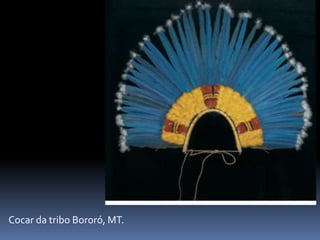 Cocar da tribo Bororó, MT.
 