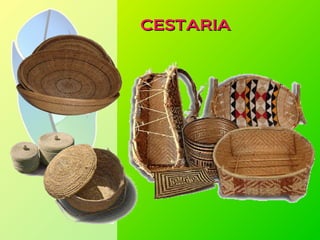 CESTARIACESTARIA
 