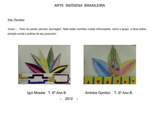 ARTE INDÍGENA BRASILEIRA
Arte Plumária
Cocar - Feito de penas, plumas, plumagem. Nele estão contidas muitas informações, como o grupo, a faixa etária,
posição social e política de seu possuidor.
Igor Moséle T. 6º Ano B Andréia Gambin T. 6º Ano B
- 2012 -
 