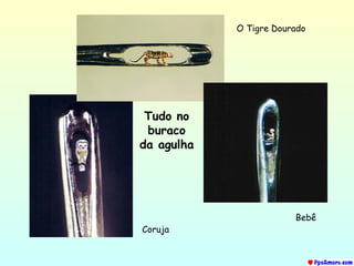 Tudo no buraco da agulha O Tigre Dourado Coruja Bebê 